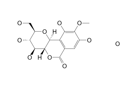 Bergenin monohydrate