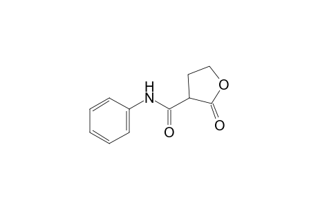 2-oxo-2,3,4,5-tetrahydro-3-furanilide