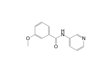 benzamide, 3-methoxy-N-(3-pyridinyl)-
