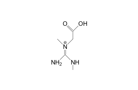 N,N'-Dimethyl-glycocyamine cation