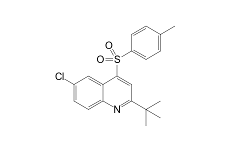 2-tert-Butyl-6-chloro-4-(4-toluenesulfonyl)quinoline
