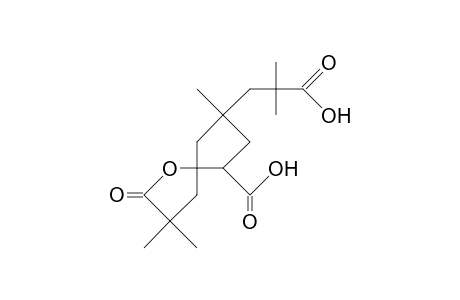 4'-(2-Carboxy-2-methyl-propyl)-4,4,4'-trimethyl-5-oxo-tetrahydro-furan-2-spiro-cyclopentane-2'-carboxylic acid