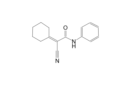 acetamide, 2-cyano-2-cyclohexylidene-N-phenyl-