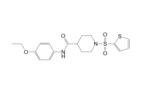 N-(4-ethoxyphenyl)-1-(2-thienylsulfonyl)-4-piperidinecarboxamide