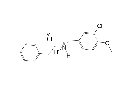 N-(3-chloro-4-methoxybenzyl)-2-phenylethanaminium chloride