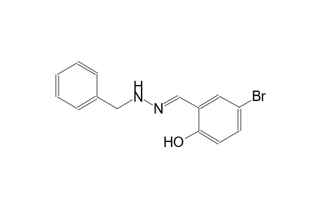 benzaldehyde, 5-bromo-2-hydroxy-, (phenylmethyl)hydrazone