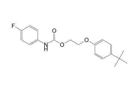 2-(4-tert-butylphenoxy)ethyl 4-fluorophenylcarbamate