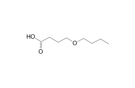 Butanoic acid, 4-butoxy-