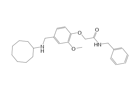 N-benzyl-2-{4-[(cyclooctylamino)methyl]-2-methoxyphenoxy}acetamide