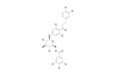 3-HYDROXYPHLORETIN-4'-O-(6''-O-GALLOYL)-BETA-D-GLUCOPYRANOSIDE
