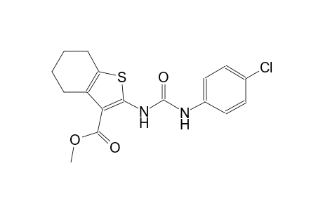 methyl 2-{[(4-chloroanilino)carbonyl]amino}-4,5,6,7-tetrahydro-1-benzothiophene-3-carboxylate