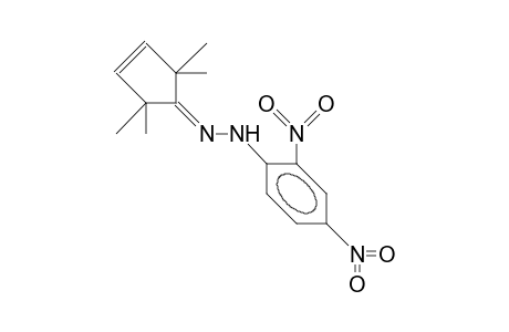 2,2,5,5-Tetramethyl-3-cyclopenten-1-one (2,4-dinitrophenyl)hydrazone