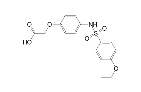 (4-{[(4-ethoxyphenyl)sulfonyl]amino}phenoxy)acetic acid