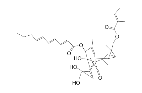 2,4,6-Decatrienoic acid, 1a,2,5,5a,6,9,10,10a-octahydro-5,5a-dihydroxy-4-(hydroxymethyl)-1,7,9-trimethyl-1-[[(2-methyl-1-oxo-2-butenyl)oxy]methyl]-11-oxo-1H-2,8a-methanocyclopenta[a]cyclopropa[e]cyclodecen-6-yl ester