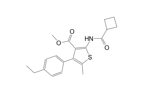 methyl 2-[(cyclobutylcarbonyl)amino]-4-(4-ethylphenyl)-5-methyl-3-thiophenecarboxylate