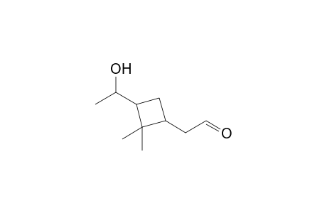 2,2-Dimethyl-3-(1-hydroxyethyl)cyclobutaneacetaldehyde