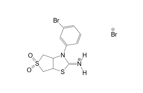 3-(3-bromophenyl)tetrahydrothieno[3,4-d][1,3]thiazol-2(3H)-iminium 5,5-dioxide bromide