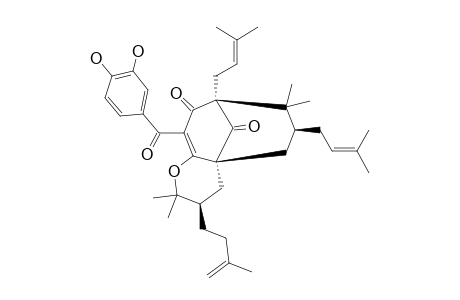 2-CYCLOXANTHOCHYMOL
