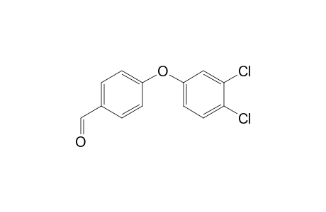 4-(3,4-Dichlorophenoxy)benzaldehyde