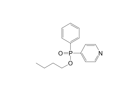 Butyl (4-pyridyl)phenylphosphinate