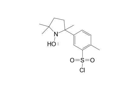 2,5,5-Trimethyl-2-(3-chlorosulfonamido-4-methylphenyl)pyrrolidin-1-yl)oxy radicalmethyl ester