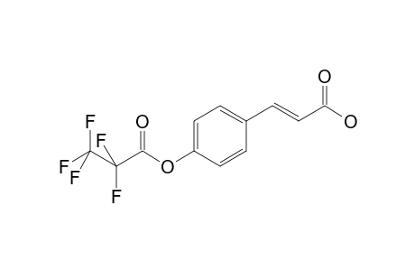 p-Coumaric acid PFP