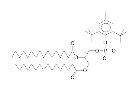 (1,2-DIPALMITOYL-RAC-GLYCERO-3)(4-METHYL-2,6-DI-TERT-BUTYLPHENYL)CHLOROPHOSPHATE (DIASTEREOMER MIXTURE)