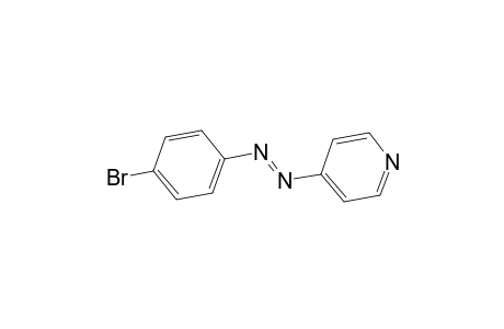 Pyridine, 4-[(p-bromophenyl)azo]-