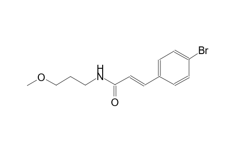 (2E)-3-(4-bromophenyl)-N-(3-methoxypropyl)-2-propenamide