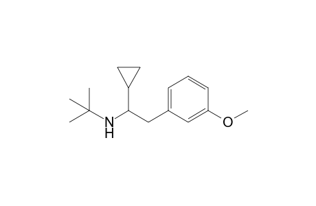 N-[1-cyclopropyl-2-(3-methoxyphenyl)ethyl]-2-methyl-2-propanamine