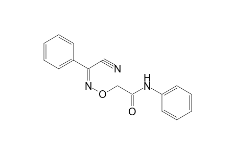 (Z)-N-(2-anilino-2-oxo-ethoxy)benzimidoyl cyanide