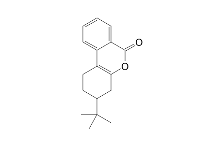 3-tert-butyl-1,2,3,4-tetrahydrobenzo[c]chromen-6-one