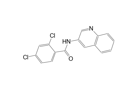 2,4-Dichloro-N-(3-quinolinyl)benzamide