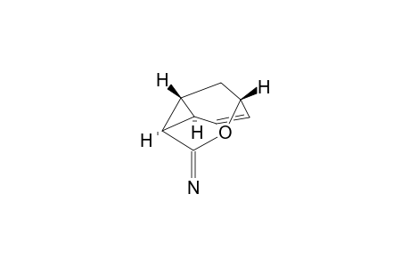 3-imino-4-oxatricyclo[3.3.1.0(2,8)]non-6-ene