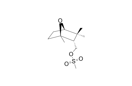 1,3,3-TRIMETHYL-2-(METHANE-SULFONYL-METHYL)-7-OXA-BICYClO-[2.2.1]-HEPTANE