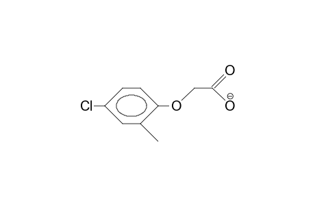 2-Methyl-4-chloro-phenoxy-acetic acid, anion