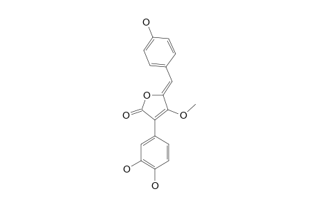3-(3',4'-DIHYDROXYPHENYL)-5-(4''-HYDROXYPHENYL)-METHYLENE-4-METHOXYFURAN-2(5H)-ONE