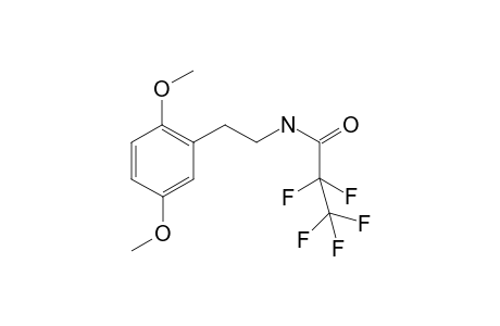 2,5-Dimethoxyphenethylamine PFP