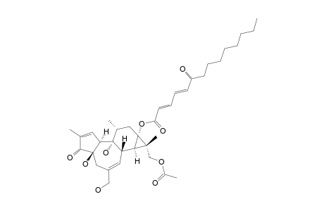 SAPINSIGNOID_C