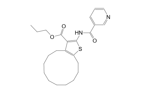 propyl 2-[(3-pyridinylcarbonyl)amino]-4,5,6,7,8,9,10,11,12,13-decahydrocyclododeca[b]thiophene-3-carboxylate