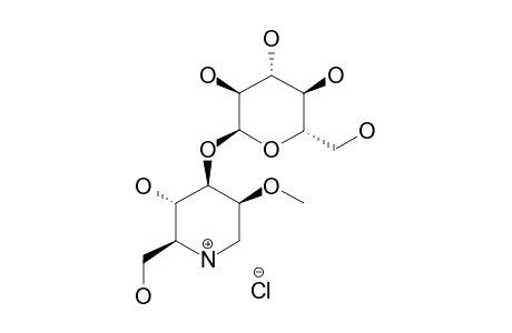1,5-DIDEOXY-3-O-(ALPHA-D-GLUCOPYRANOSYL)-1,5-IMINO-2-O-METHYL-D-MANNITOL-HYDROCHLORIDE