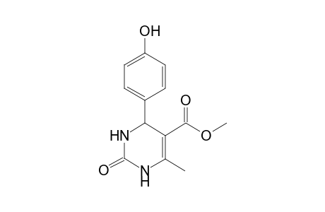 4-(4-hydroxyphenyl)-2-keto-6-methyl-3,4-dihydro-1H-pyrimidine-5-carboxylic acid methyl ester