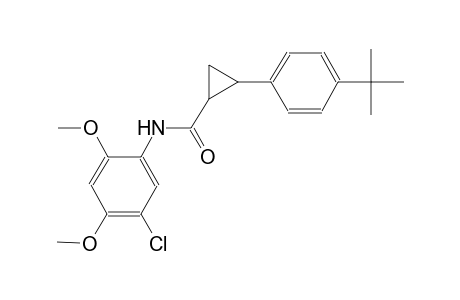 2-(4-tert-butylphenyl)-N-(5-chloro-2,4-dimethoxyphenyl)cyclopropanecarboxamide