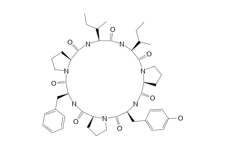 PHAKELLISTATIN-2;CYCLO-(TYR-PRO-PHE-PRO-ILE-ILE-PRO)