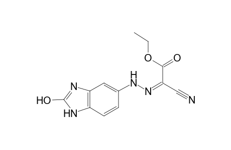 Propanedioic acid, mononitrile, 2-(2-hydroxy-5-benzimidazolylhydrazono)-, ethyl ester