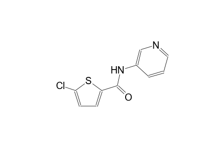 5-chloro-N-(3-pyridinyl)-2-thiophenecarboxamide