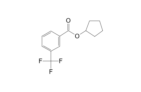 Cyclopentyl 3-(trifluoromethyl)benzoate