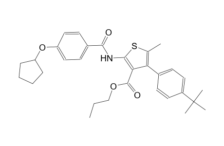 propyl 4-(4-tert-butylphenyl)-2-{[4-(cyclopentyloxy)benzoyl]amino}-5-methyl-3-thiophenecarboxylate