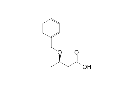 3-Benzyloxybutanoic acid