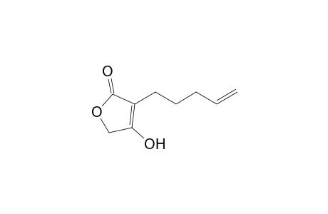 4-Hydroxy-3-(pent-4-enyl)furan-2(5H)-one